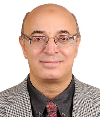 Prof. Mohamed Barakat