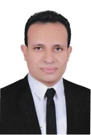 Prof. Hany Elmesiry