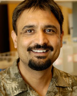 Dr. Kulvinder S. Gill
